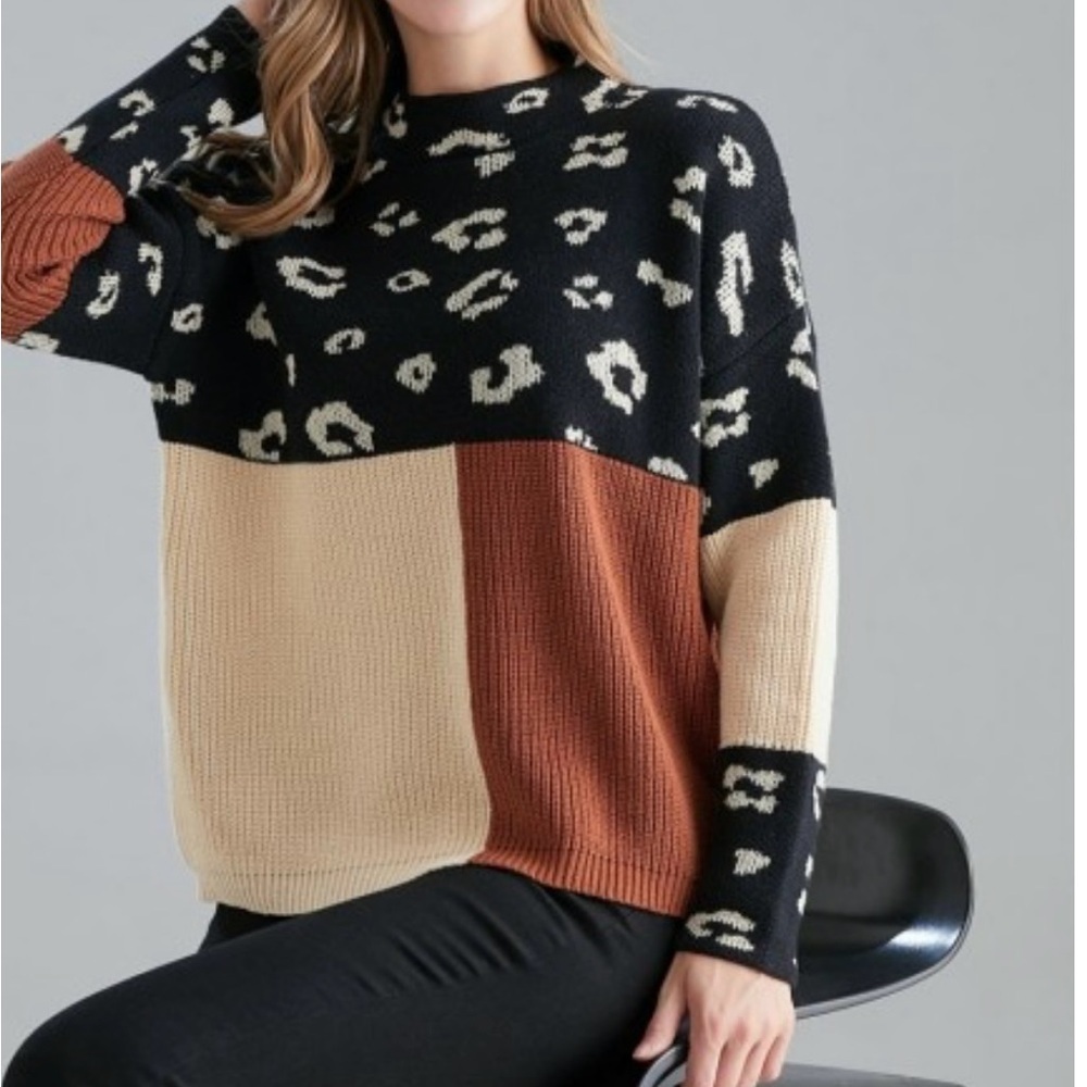 ANDREE By UNIT Small Leopard Print Colorblock Sweater - Black, Cream, Brown